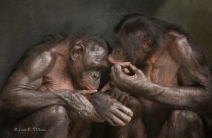 Bonobo Friends