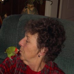 mombird